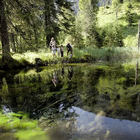 Alpen Laerchenhof 3*