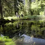 Alpen Laerchenhof 3*