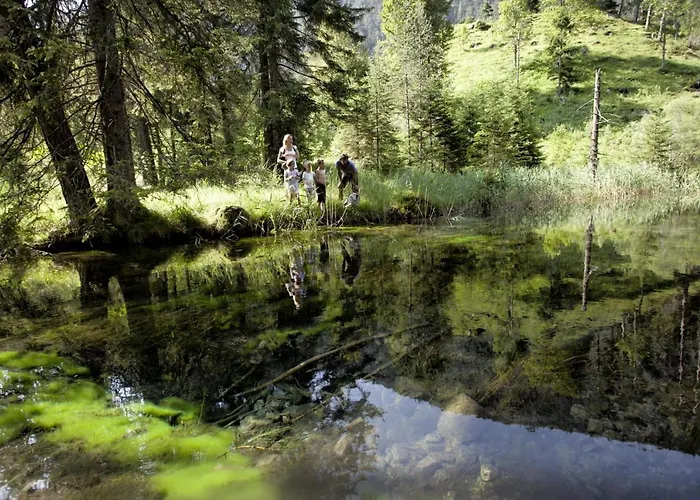 Alpen Laerchenhof 3*
